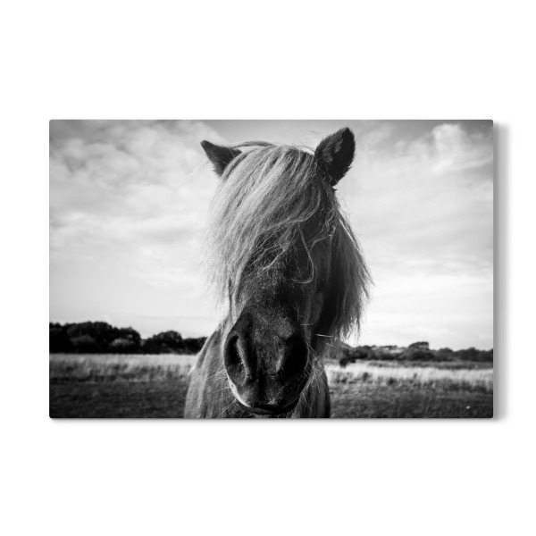 Galerie-Print "The northern border #5" 30x20 cm artboxONE