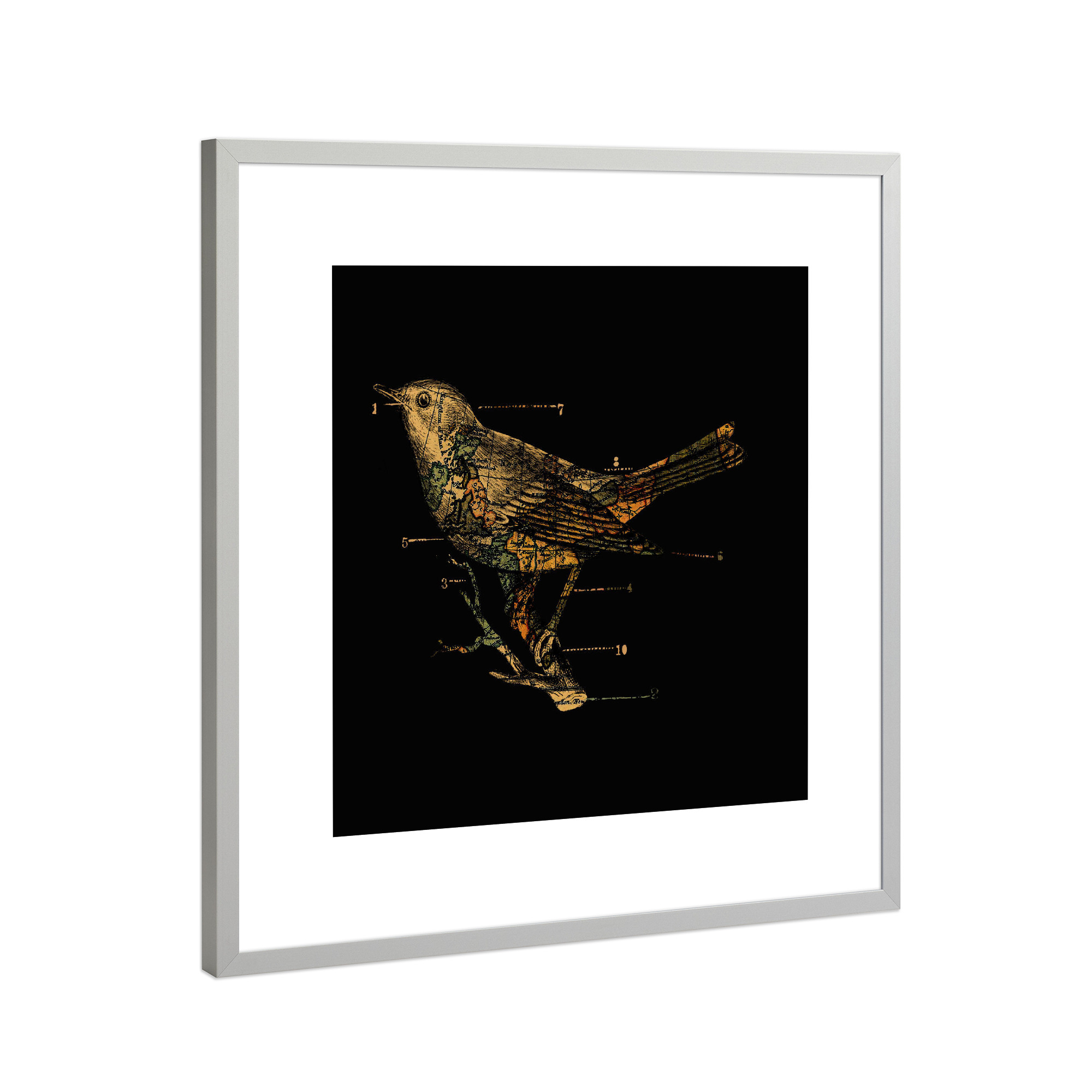 Poster mit Rahmen Silber "Migration" artboxONE - Tiere,Kartografie
