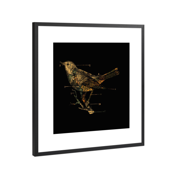 Poster mit Rahmen Schwarz (Metallic) "Migration" artboxONE - Tiere,Kartografie