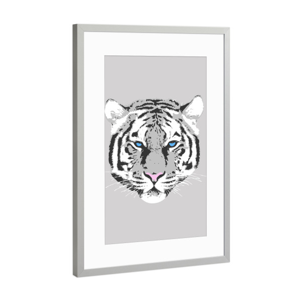 Poster mit Rahmen Silber "White tiger" artboxONE - Tiere - Tiger,Tigers,Wild,Animal,Animals,Illustration,Graphic,Tiere