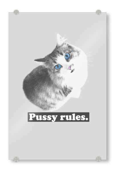 Acrylglasbild "Pussy rules" artboxONE - Tiere - Katze,Katzen,Sprichwort,Redewendungen,Lustig,Satire,Slogan,Slogans,Witz,Witze,Frauen,Frau