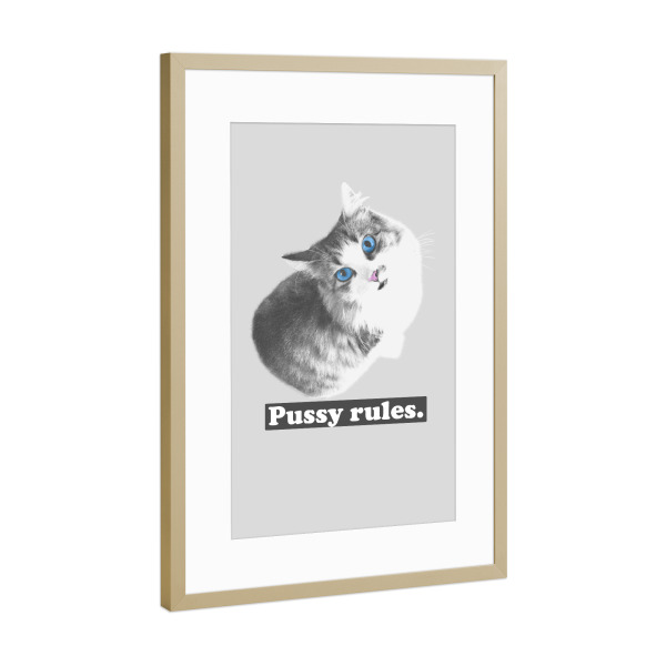 Poster mit Rahmen Gold "Pussy rules" artboxONE - Tiere - Katze,Katzen,Sprichwort,Redewendungen,Lustig,Satire,Slogan,Slogans,Witz,Witze,Frauen,Frau