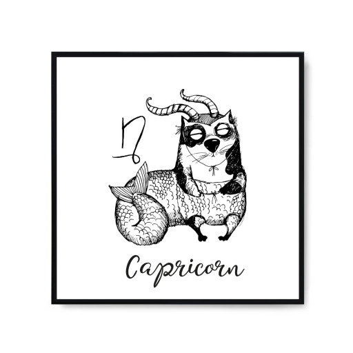 Capricorn cat