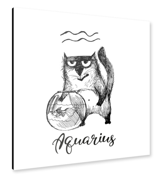 Alu-Dibond "Aquarius cat" 30x30 cm artboxONE