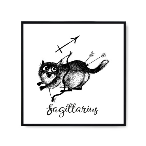 Sagittarius cat