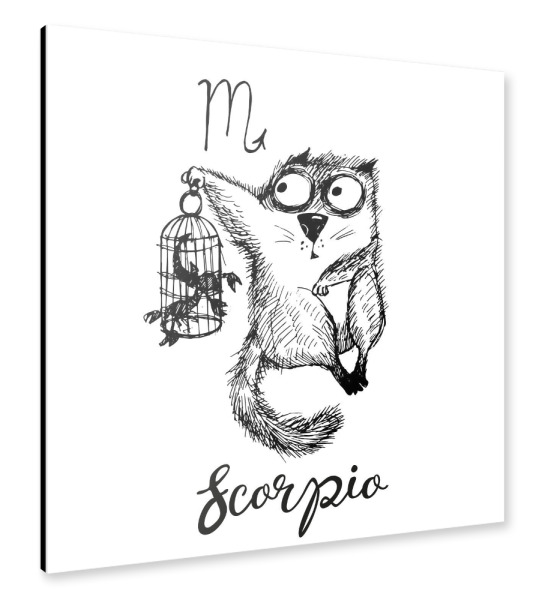 Alu-Dibond "Scorpio cat" 30x30 cm artboxONE