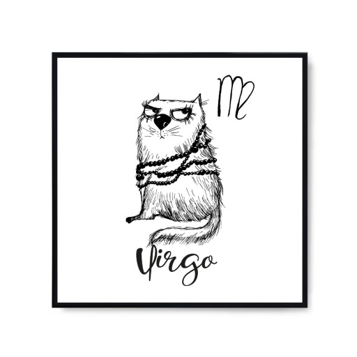 Virgo cat