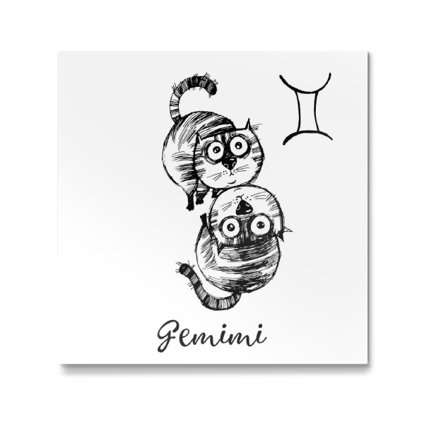 Galerie-Print "Gemini cat" 30x30 cm artboxONE