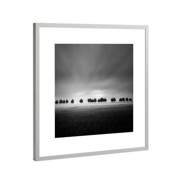 Poster mit Rahmen Silber "Silent Trees" artboxONE - Natur,Floral,Abstrakt,Schwarzweiß,Stillleben