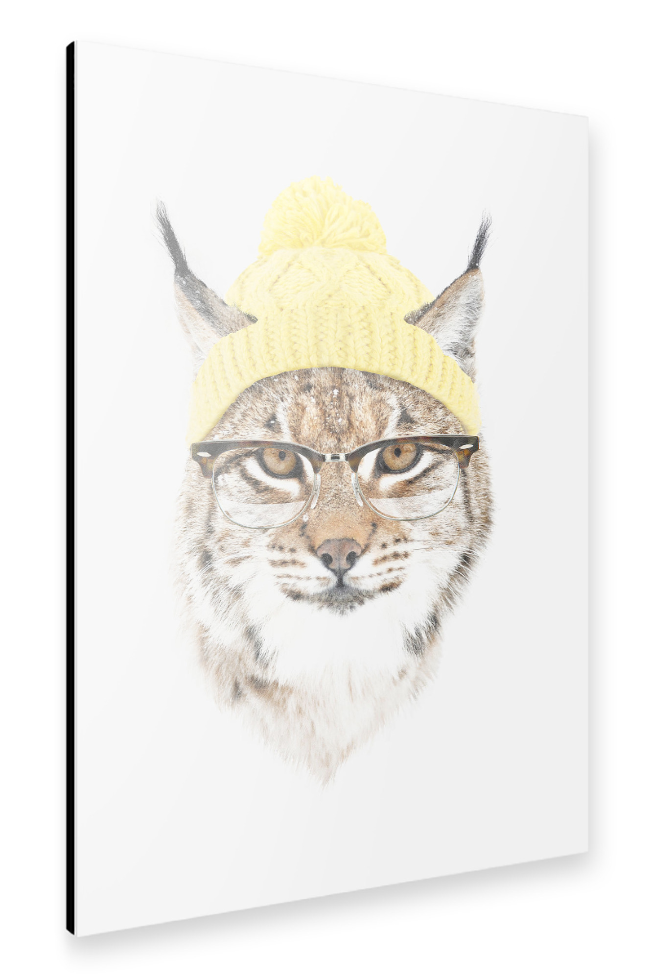 Alu-Dibond "It's pretty cold outside 2" 30x20 cm artboxONE