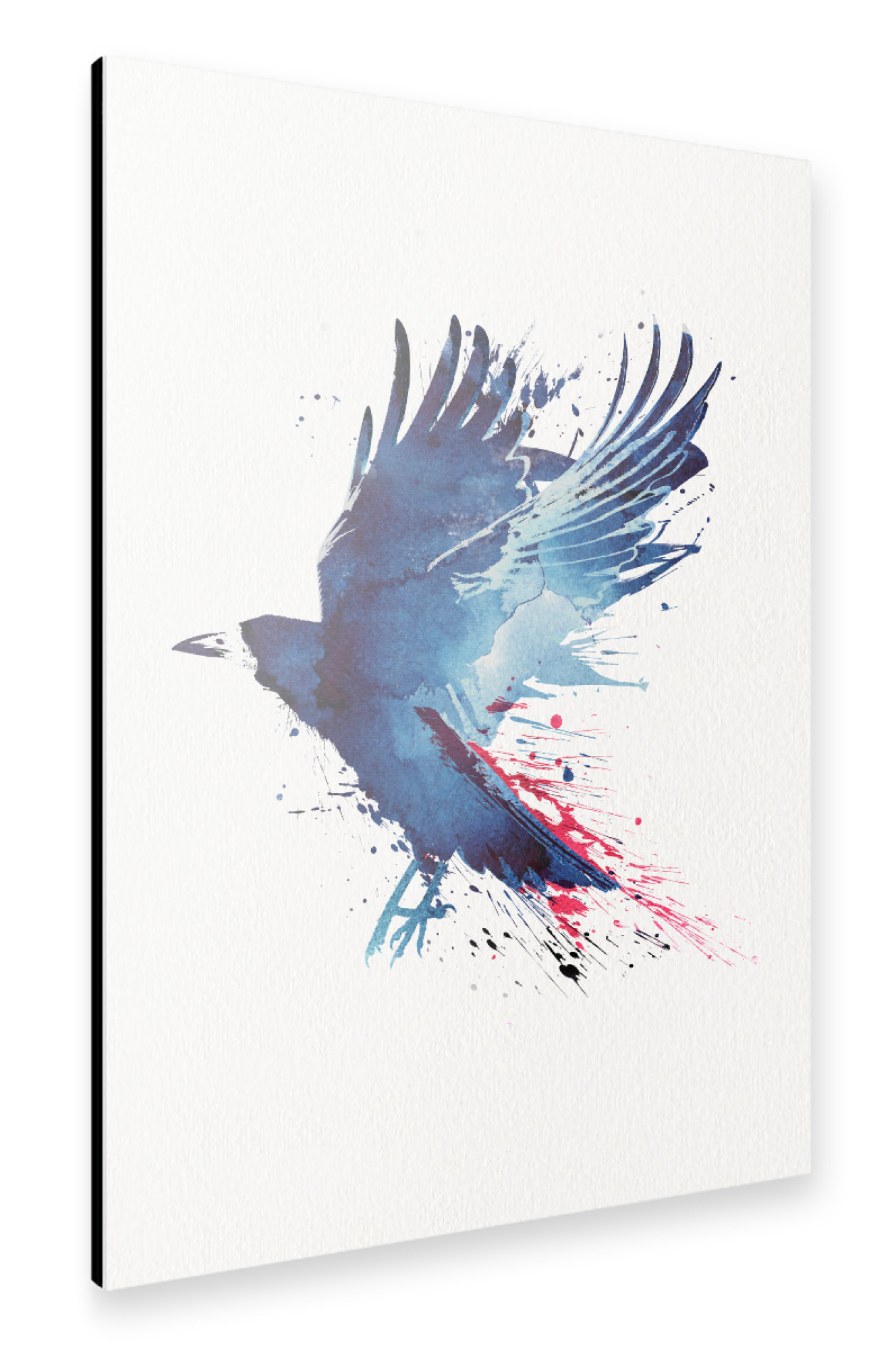 Alu-Dibond "Bloody crow" 75x50 cm artboxONE