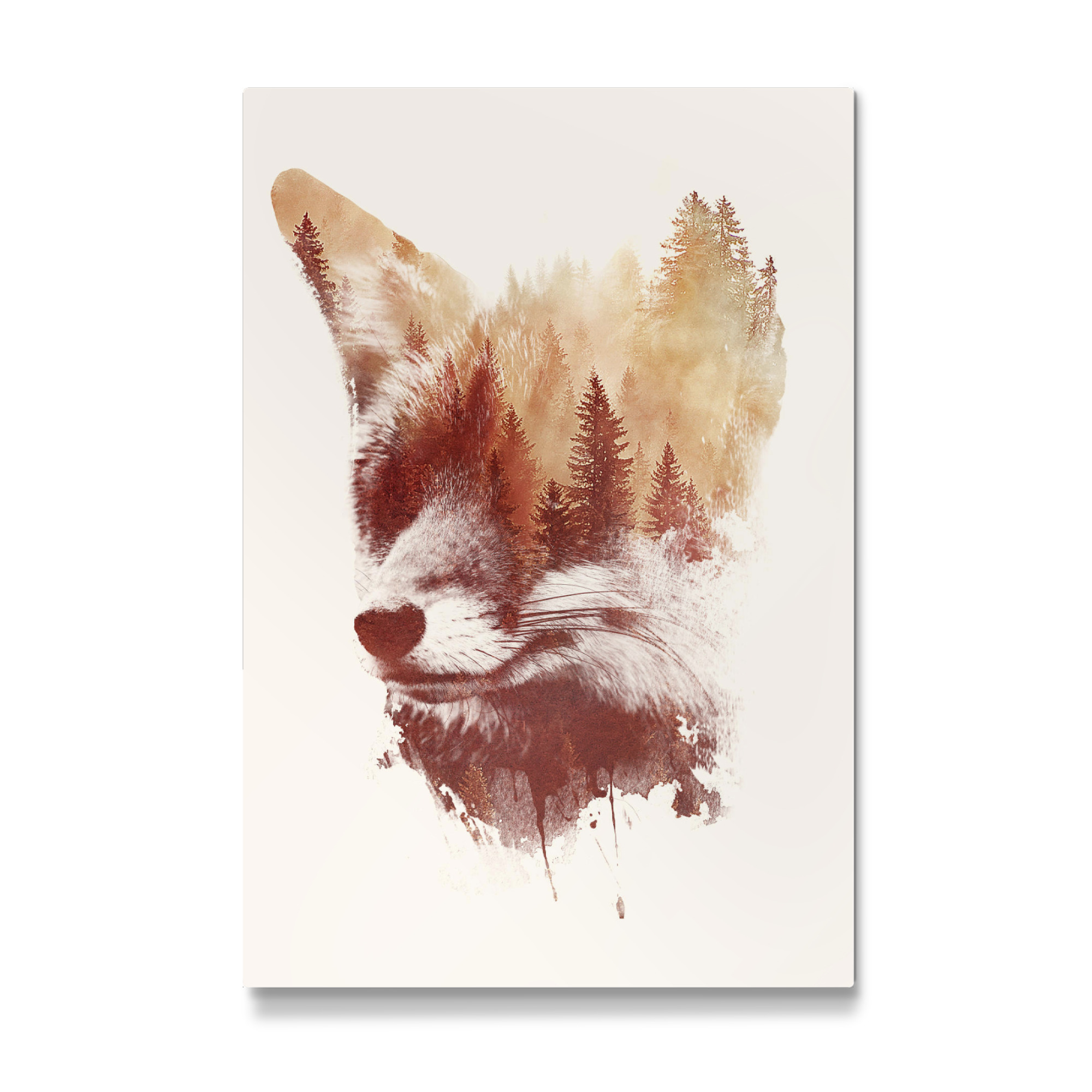Galerie-Print "Blind fox" 30x20 cm artboxONE