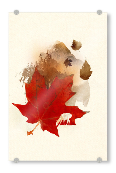Acrylglasbild "Autumn leaf" artboxONE - Natur - Blatt,Herbst,Doppelte exposition