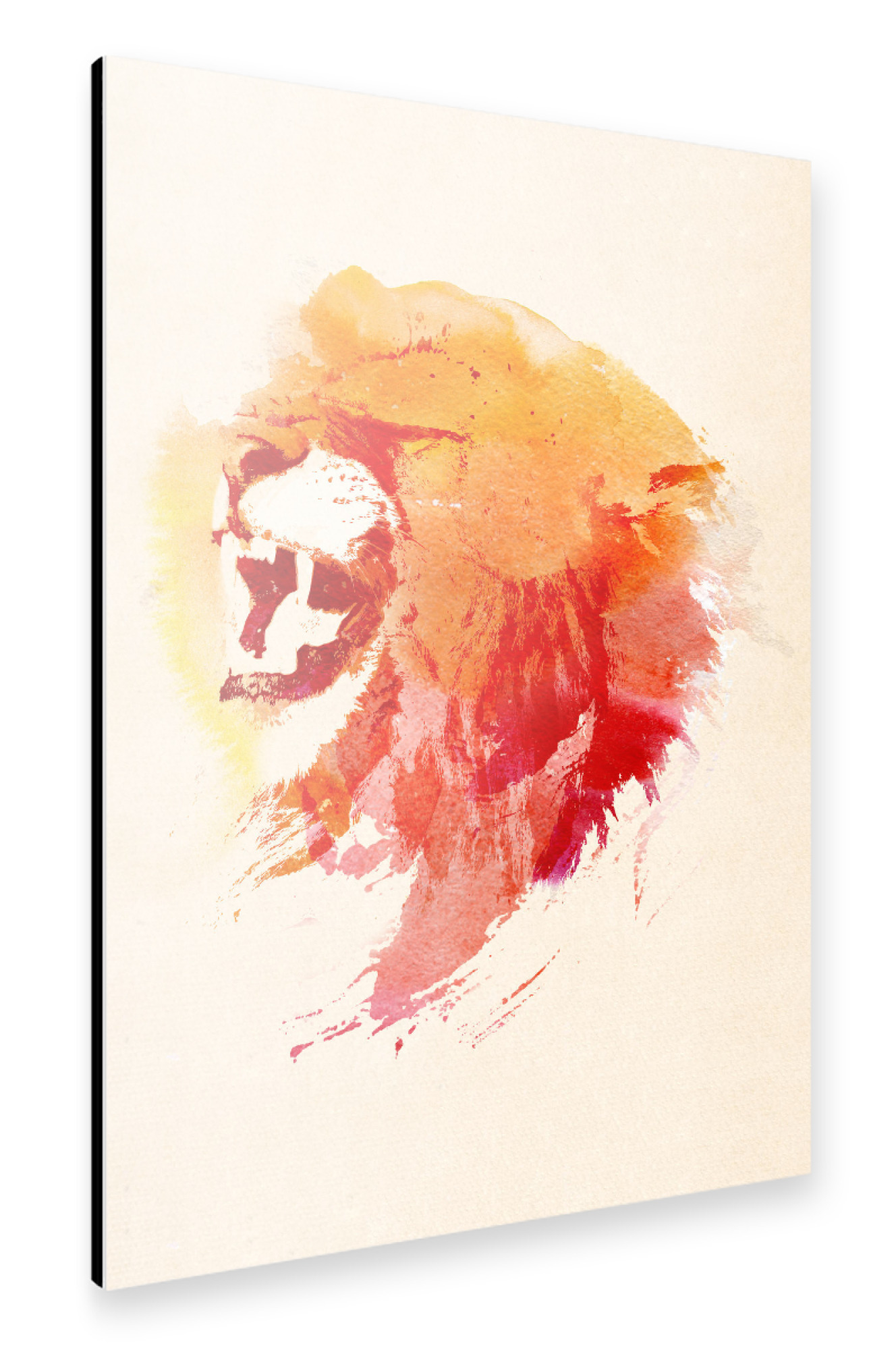 Alu-Dibond "Angry lion" 30x20 cm artboxONE
