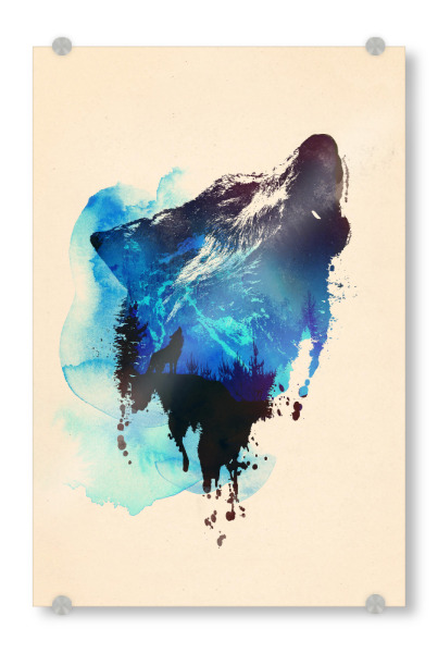 Acrylglasbild "Alone as a wolf" artboxONE - Natur,Tiere - Wolf,Forest,Double exposure