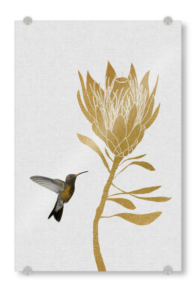 Acrylglasbild "Goldener Kolibri" artboxONE - Natur,Floral,Tiere,Abstrakt