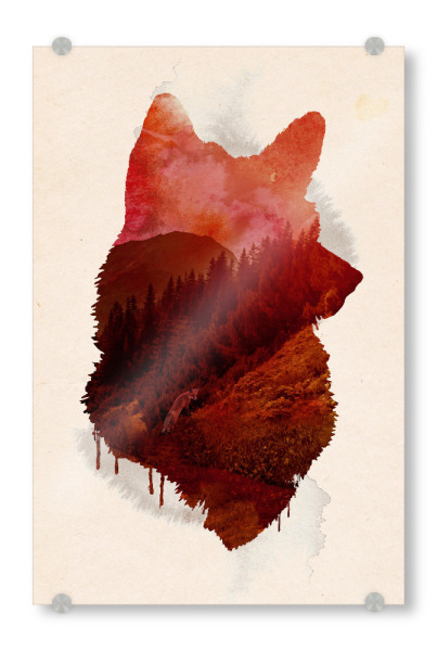 Acrylglasbild "The great escape" artboxONE - Tiere - Wolf,Wald