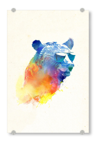 Acrylglasbild "Sunny bear" artboxONE - Tiere - Bär