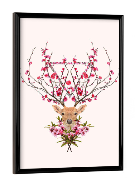 Poster mit schwarzem Rahmen "Spring Deer" artboxONE - Tiere - Hirsch