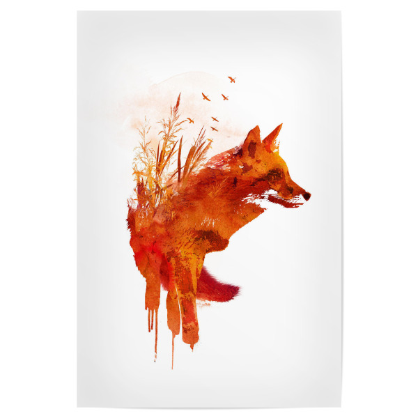 Poster 30x20 cm "Plattensee Fox" artboxONE - Tiere - Fox