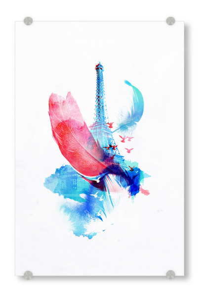Acrylglasbild "Pigeons of Paris" artboxONE - Städte,Tiere - Eiffel,Pigeon