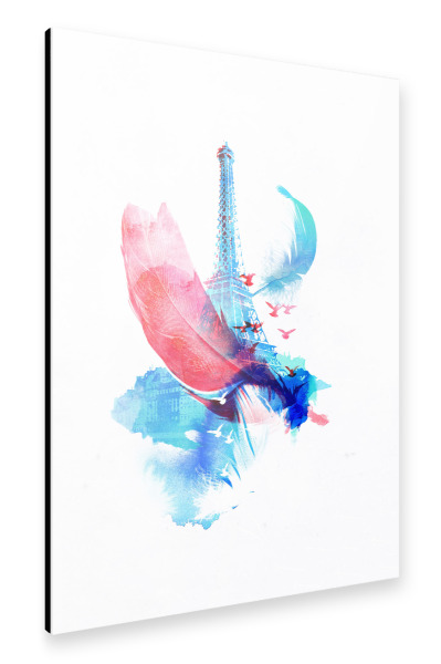 Alu-Dibond "Pigeons of Paris" 30x20 cm artboxONE