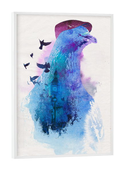 Poster mit weißem Rahmen "Pigeon of London" artboxONE - Tiere - Pigeon