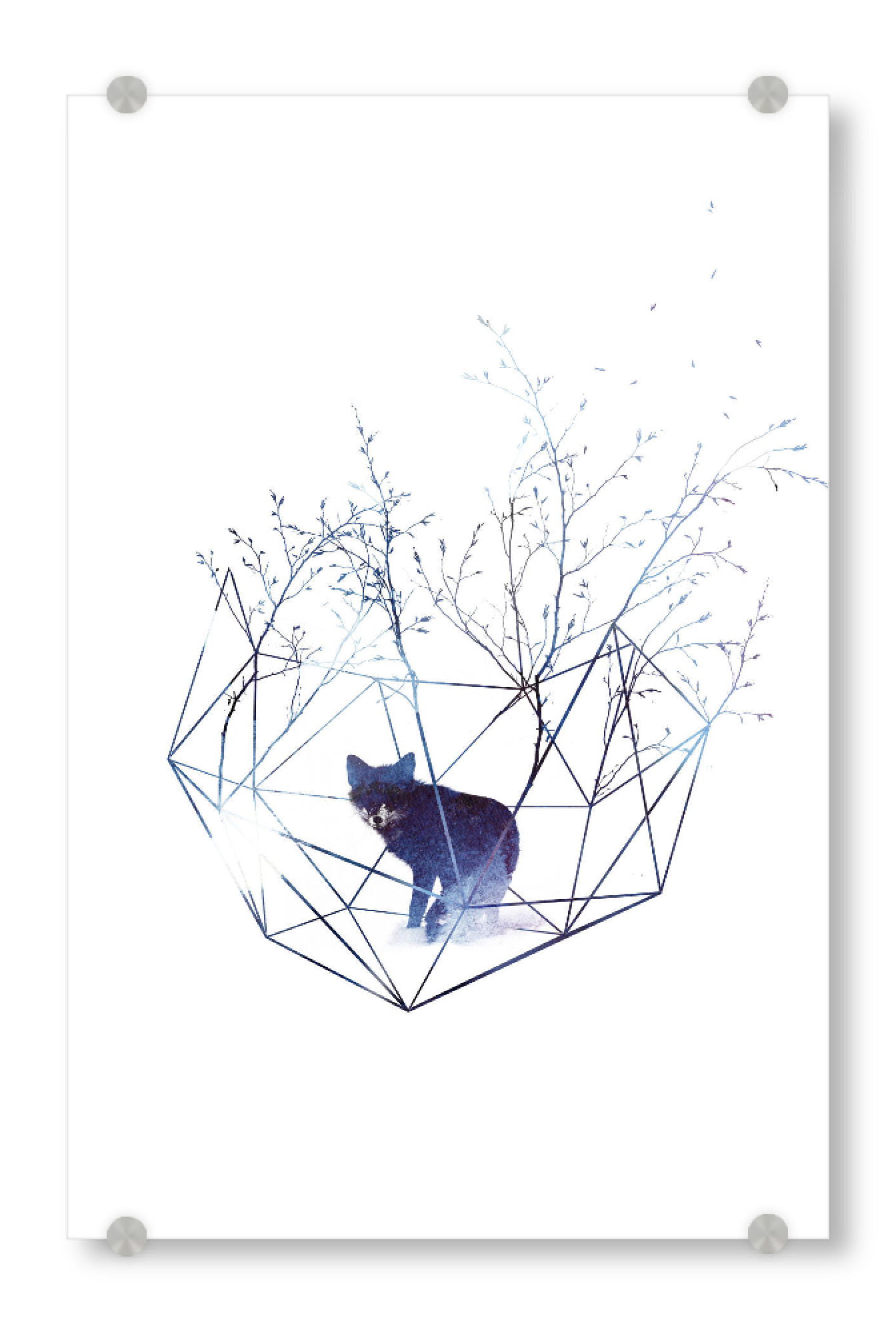 Acrylglasbild "Organic prison" artboxONE - Tiere - Fuchs