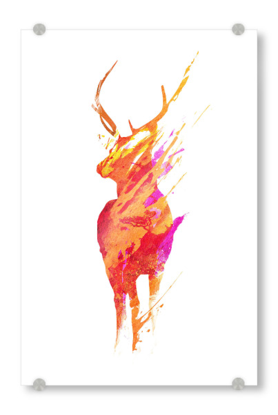 Acrylglasbild "On the road again" artboxONE - Tiere - Hirsch
