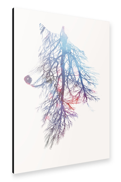 Alu-Dibond "My roots" 30x20 cm artboxONE