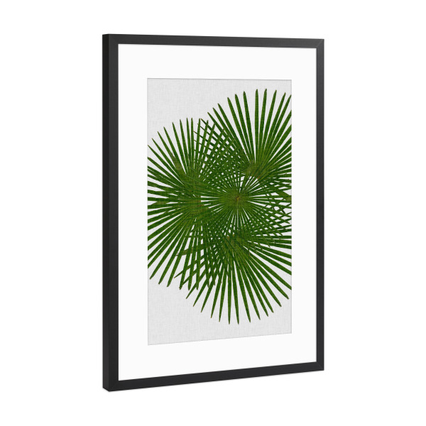 Poster mit Rahmen Schwarz (Metallic) "Fan Palm II" artboxONE - Natur,Floral,Abstrakt