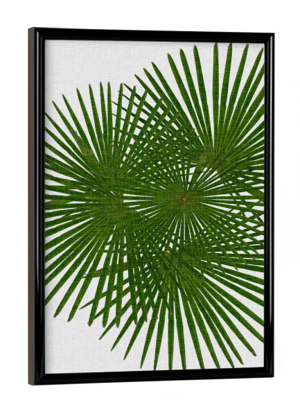 Poster mit schwarzem Rahmen "Fan Palm II" artboxONE - Natur,Floral,Abstrakt