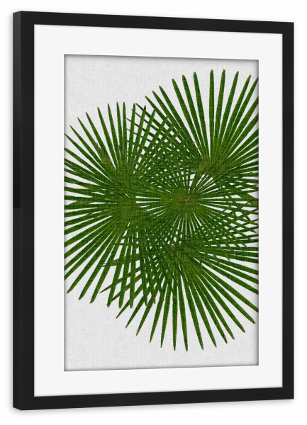 Poster mit Rahmen schwarz "Fan Palm II" artboxONE - Natur,Floral,Abstrakt