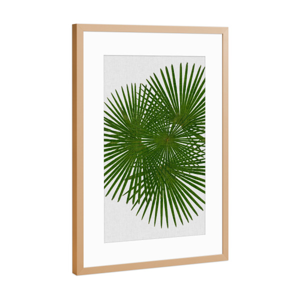 Poster mit Rahmen Kupfer "Fan Palm II" artboxONE - Natur,Floral,Abstrakt