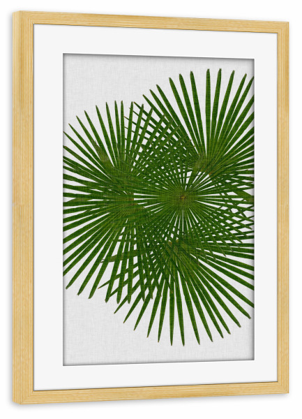 Poster mit Rahmen kiefer "Fan Palm II" artboxONE - Natur,Floral,Abstrakt