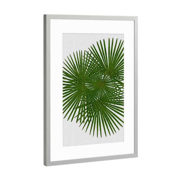 Poster mit Rahmen Silber "Fan Palm II" artboxONE - Natur,Floral,Abstrakt