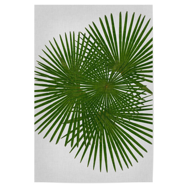Poster "Fan Palm II" artboxONE - Natur,Floral,Abstrakt
