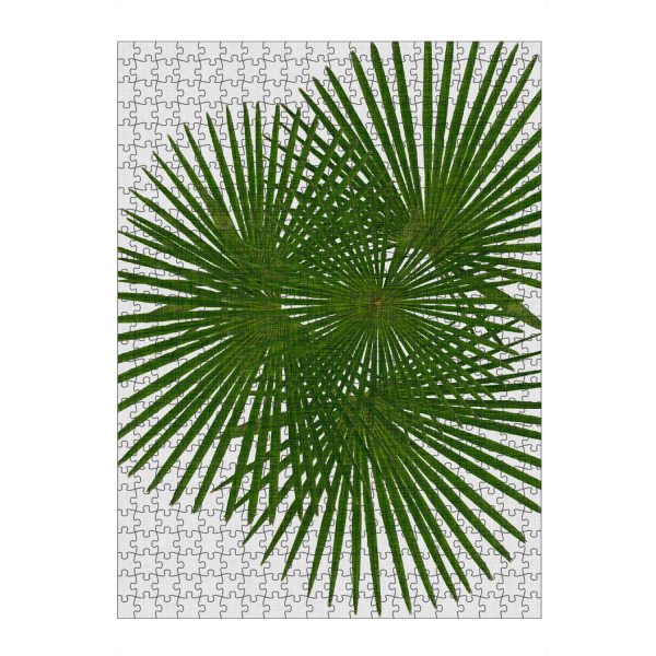 Puzzle Ravensburger "Fan Palm II" artboxONE - Natur,Floral,Abstrakt