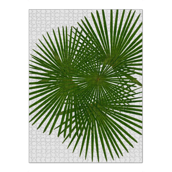 Puzzle Ravensburger "Fan Palm II" artboxONE - Natur,Floral,Abstrakt