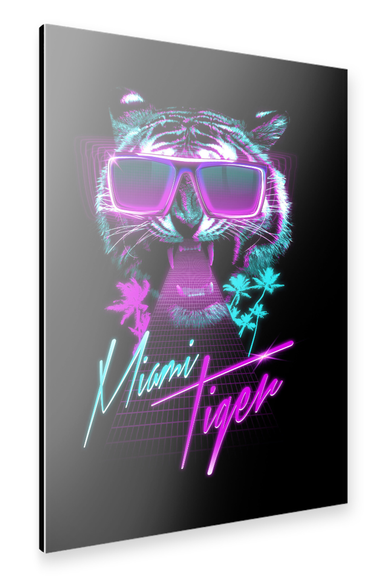 Alu-Dibond "Miami Tiger" 75x50 cm artboxONE