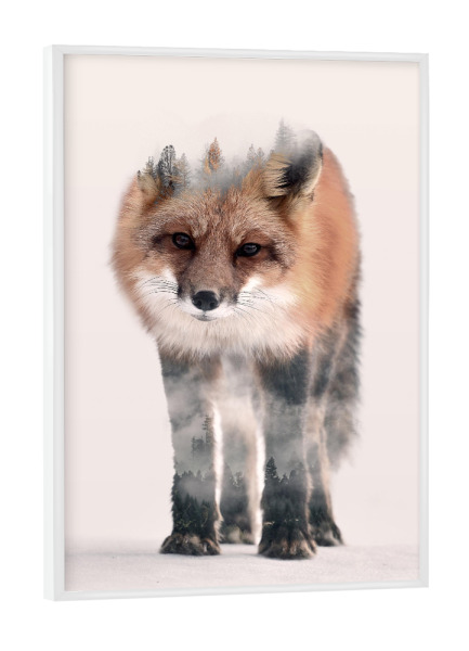Poster mit weißem Rahmen "Hondo Kitsune" artboxONE - Natur,Tiere,Fiktion