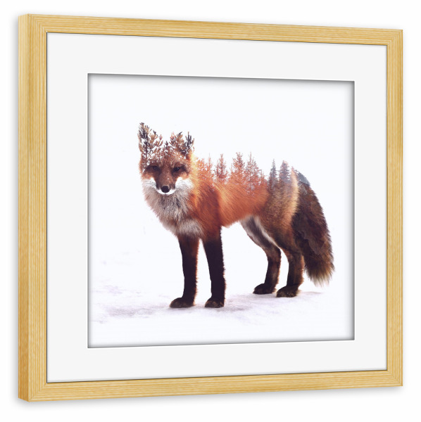 Poster mit Rahmen kiefer "Wild Fox" artboxONE - Natur,Tiere,Fiktion - Fuchs,Wald,Natur