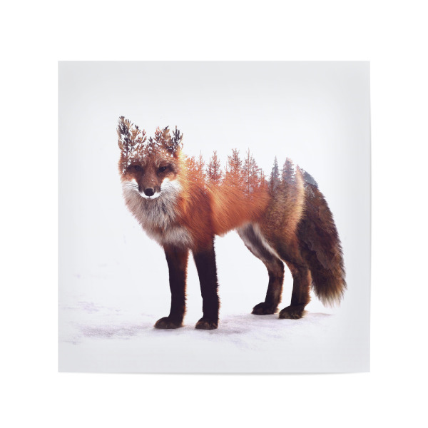 Poster 20x20 cm "Wild Fox" artboxONE - Natur,Tiere,Fiktion - Fuchs,Wald,Natur