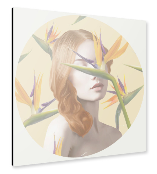 Alu-Dibond "Strelitzia" 30x30 cm artboxONE