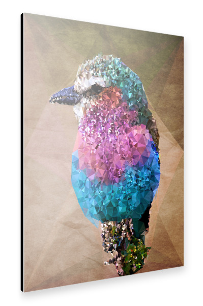 Alu-Dibond "Paradiesvogel" 30x20 cm artboxONE