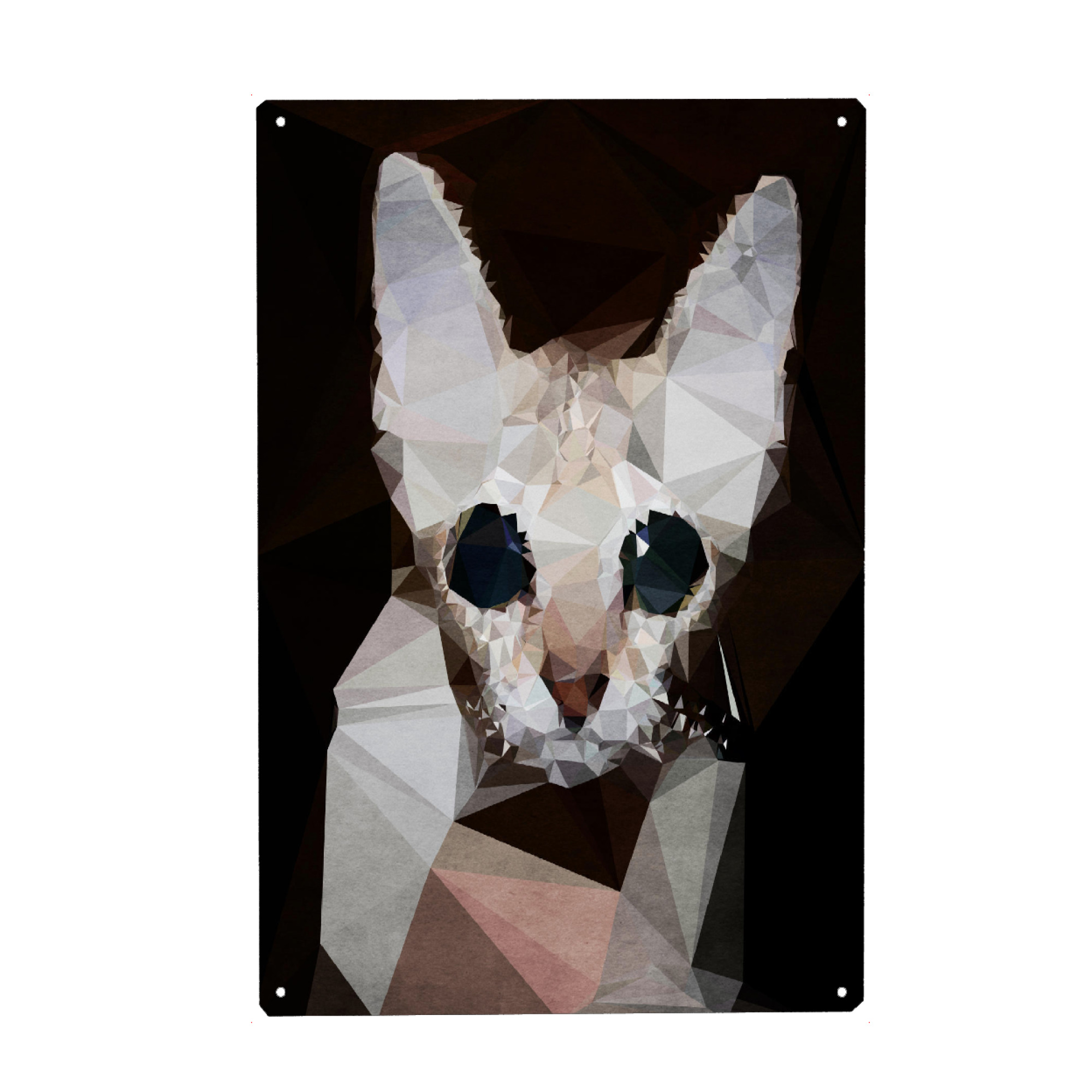 Metall Poster "Cute Fatima" artboxONE - Tiere,Abstrakt - Katze,Kätzchen,Kitty,Cat - Blechschild