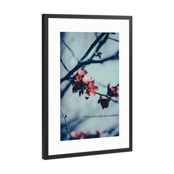 Poster mit Rahmen Schwarz (Metallic) "Alwasys Bloom" artboxONE - Floral,Abstrakt,Geometrie