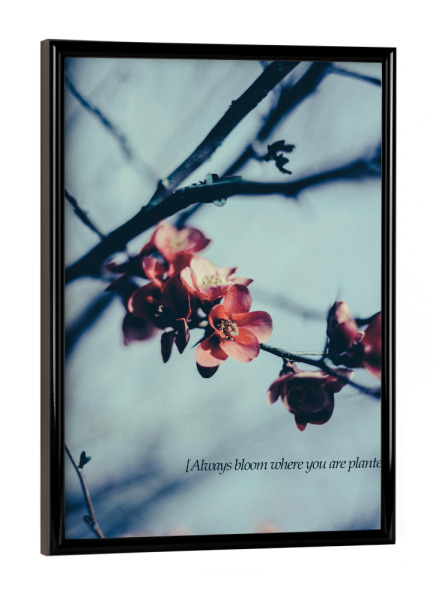 Poster mit schwarzem Rahmen "Alwasys Bloom" artboxONE - Floral,Abstrakt,Geometrie