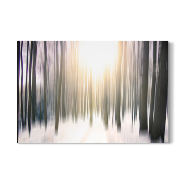 Galerie-Print "Mystischer Wald" 30x20 cm artboxONE