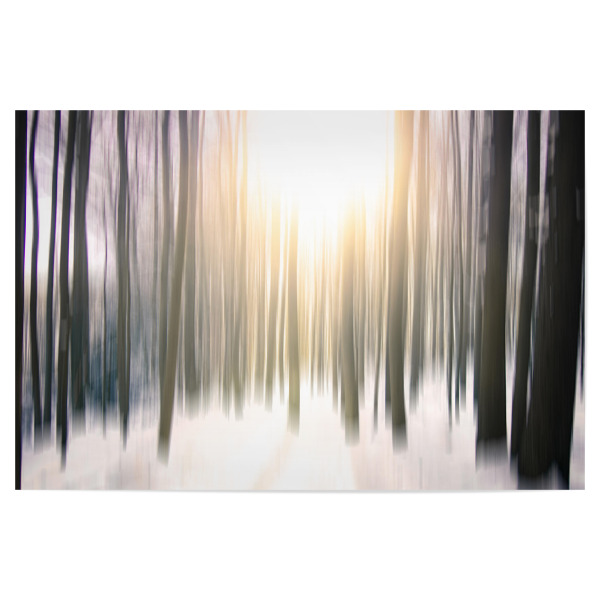 Poster "Mystischer Wald" artboxONE - Natur - Landschaft,Wald,Winter,Bäume